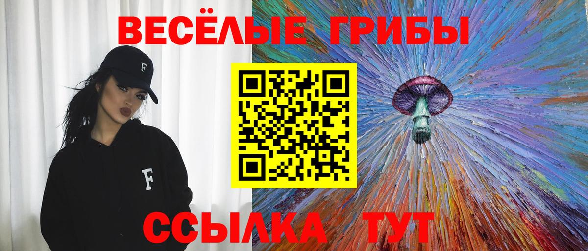 Нижнекамск  Псилоцибиновые грибы мицелий  Вход с VPN 