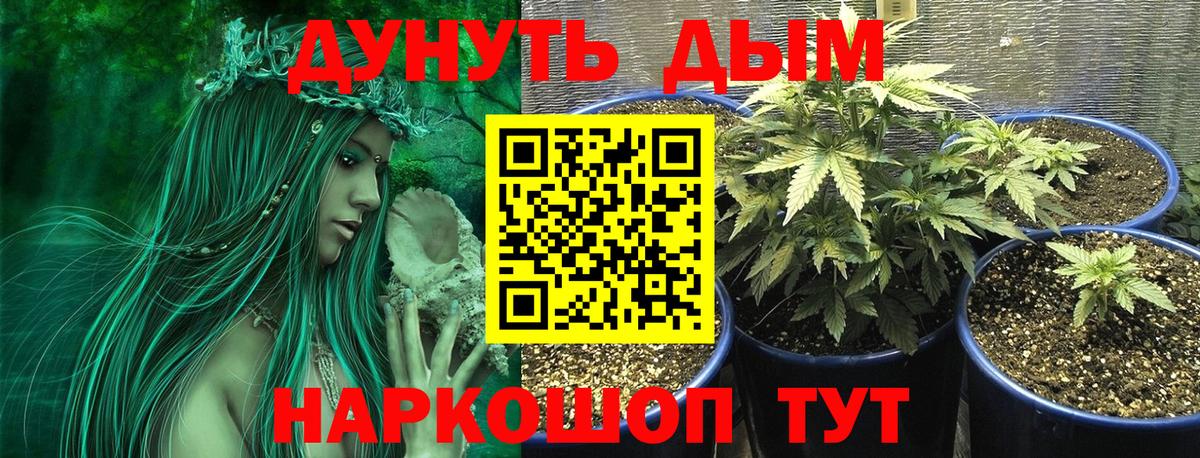 Бошки Шишки OG Kush  Канабис гибрид  Бошки Шишки AK-47  Нижнекамск  Вход с VPN 